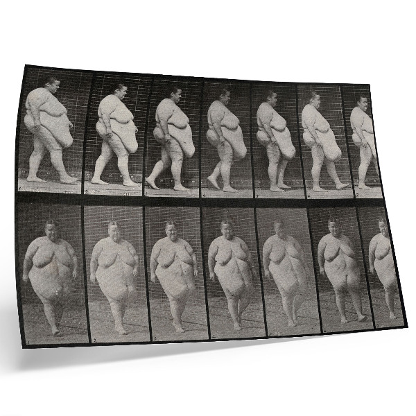 Plakat Otyła kobieta idąca. Fototyp według Eadwearda Muybridge'a, 1887