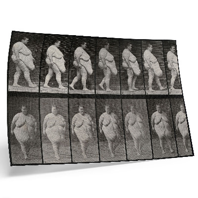 Plakat Otyła kobieta idąca. Fototyp według Eadwearda Muybridge'a, 1887