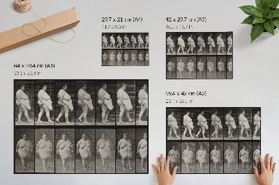 Plakat Otyła kobieta idąca. Fototyp według Eadwearda Muybridge'a, 1887