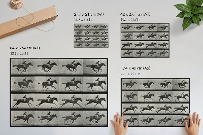 Nowoczesny plakat dekoracyjny Galopujący koń i jeździec. Fototyp według Eadwearda Muybridge'a, 1887