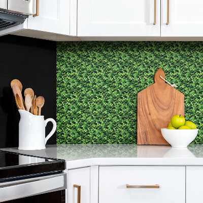 Panel winylowy na ścianę Zielone liście sałaty
