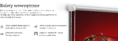 Roleta okienna wewnętrzna Czerwone jabłko w toni
