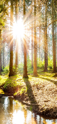 Roleta wewnętrzna na okno Słońce przebijające się przez drzewa