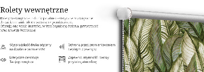 Roleta wewnętrzna Liście