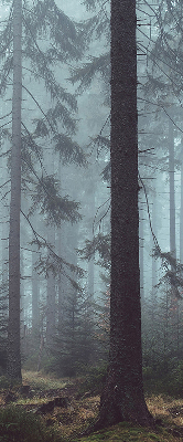 Roleta materiałowa Las nocą