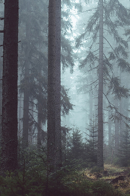 Roleta materiałowa Las nocą