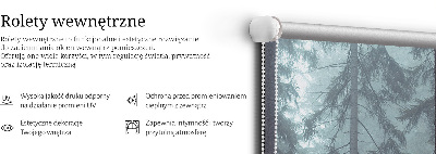 Roleta materiałowa Las nocą