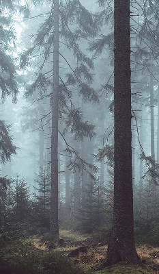 Roleta materiałowa Las nocą
