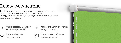 Roleta wewnętrzna Zielony