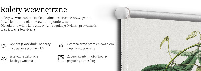 Roleta na okno różowa w kwiatki
