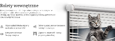 Kot wewnętrzna