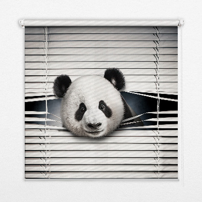 Roleta wewnętrzna na okno Panda