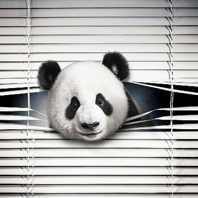 Roleta wewnętrzna na okno w wzorze Panda