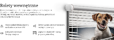 Roleta materiałowa z motywem psa