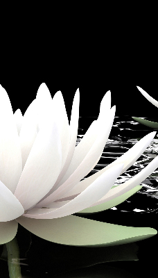 Roleta na drzwi balkonowe zaciemniająca Lilie wodne na tafli