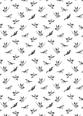 Roleta wewnętrzna zaciemniająca Ptaki