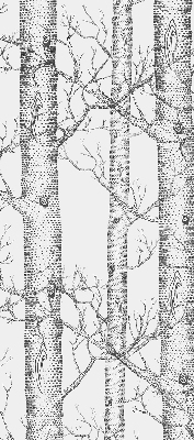 Roleta na drzwi balkonowe zaciemniająca Pnie