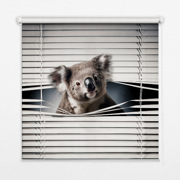 Roleta na okno zaciemniająca w wariancie Koala