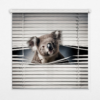 Roleta na okno zaciemniająca Koala