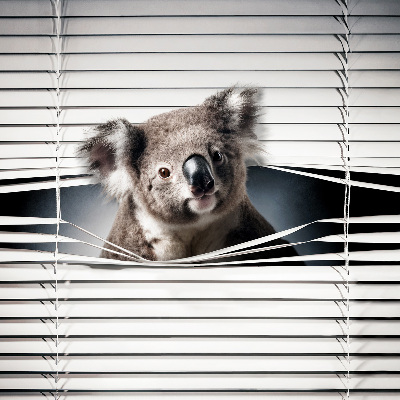 Roleta na okno zaciemniająca w wariancie Koala