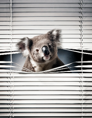 Roleta na okno zaciemniająca w wariancie Koala