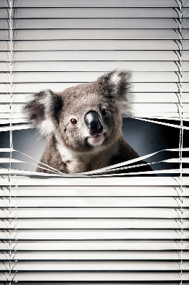 Roleta na okno zaciemniająca w wariancie Koala