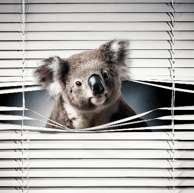 Roleta na okno zaciemniająca w wariancie Koala