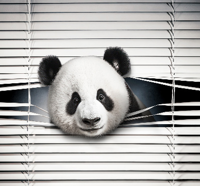 Roleta wewnętrzna na okno zaciemniająca w wariancie Panda