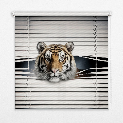 Roleta na drzwi balkonowe zaciemniająca w kolorze tygrys