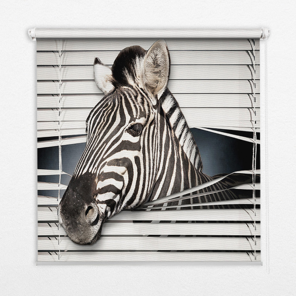 Roleta okienna wewnętrzna zaciemniająca zebra