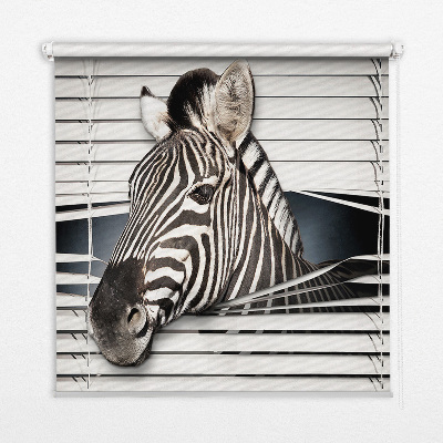 Roleta okienna wewnętrzna zaciemniająca Zebra