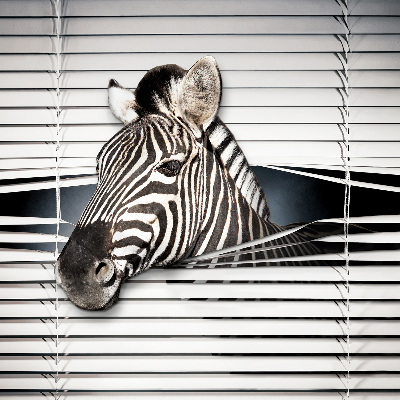 Roleta okienna wewnętrzna zaciemniająca zebra