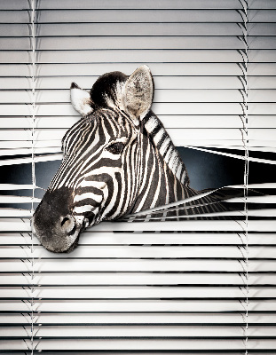 Roleta okienna wewnętrzna zaciemniająca zebra