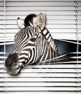Roleta okienna wewnętrzna zaciemniająca zebra