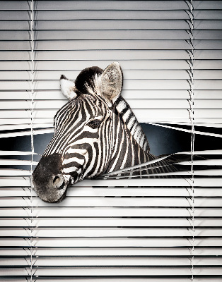 Roleta okienna wewnętrzna zaciemniająca zebra
