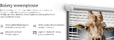 Roleta wewnętrzna na okno zaciemniająca w wariancie Żyrafa