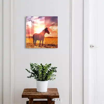 Kasetka na klucze Koń w słońcu
