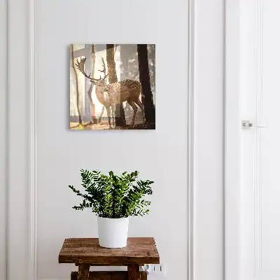Kasetka na klucze Jeleń w lesie