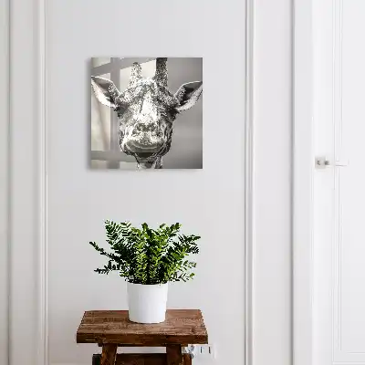 Kasetka na klucze Żyrafa portret