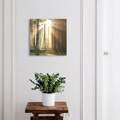 Kasetka na klucze Leśne światło