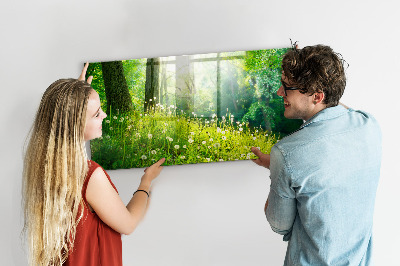 Tablica magnetyczna do kuchni na magnesy Natura wiosenna