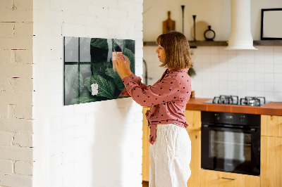 Tablica magnetyczna na ścianę Tropikalna monstera