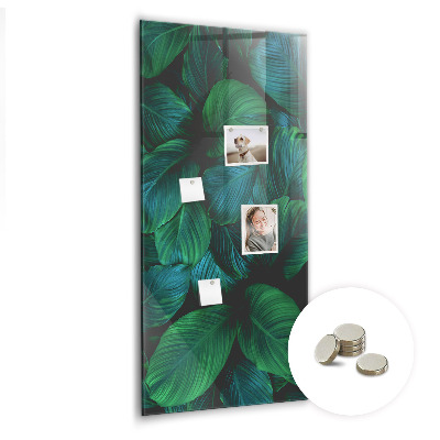 Tablica magnetyczna na magnesy na ścianę Duże liście tropikalne