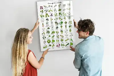 Tablica magnetyczna suchościeralna z motywem zielonych warzyw