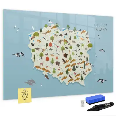Tablica magnetyczna do pisania z mapą zwierząt Polski