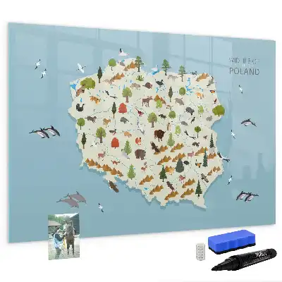 Tablica magnetyczna do pisania z mapą zwierząt Polski