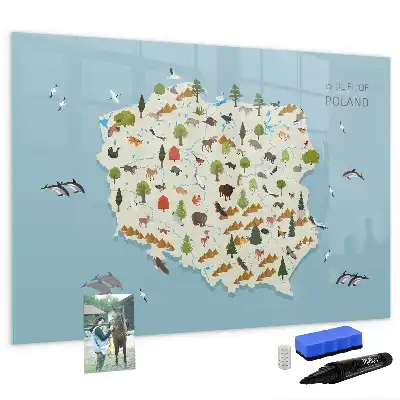 Tablica magnetyczna do pisania z mapą zwierząt Polski