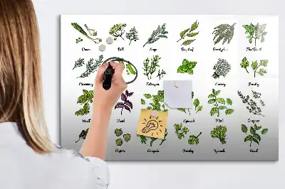 Tablica magnetyczna z pisakiem gatunki drzew