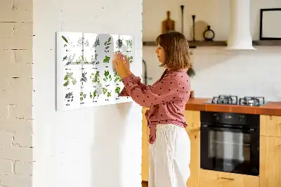 Tablica magnetyczna z pisakiem gatunki drzew