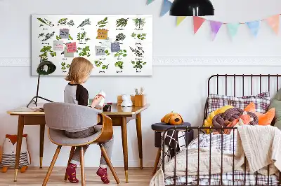 Tablica magnetyczna z pisakiem gatunki drzew